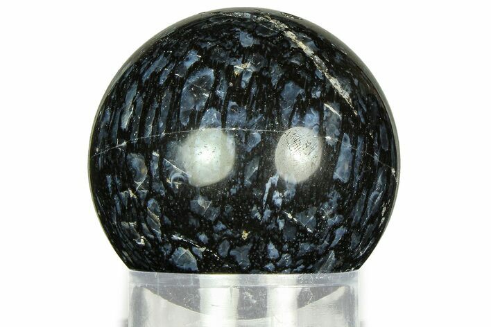 Polished, Black Petrified Palm Root Sphere - Indonesia #311562